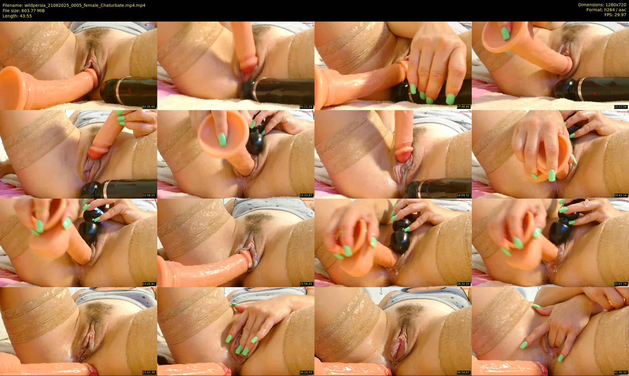 wildpersia — 44 minute Chaturbate female cam show recording, 720p, Aug 21, 2025