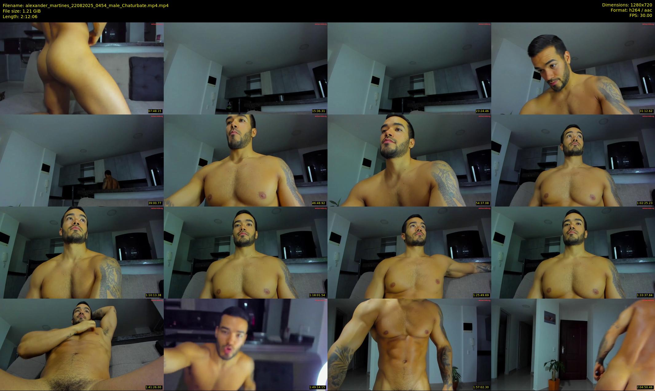 alexander_martines — 133 minute Chaturbate male cam show recording, 720p, Aug 22, 2025