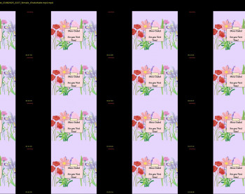 constantcumquest — 3 minute Chaturbate female cam show recording, 720p, Aug 21, 2025