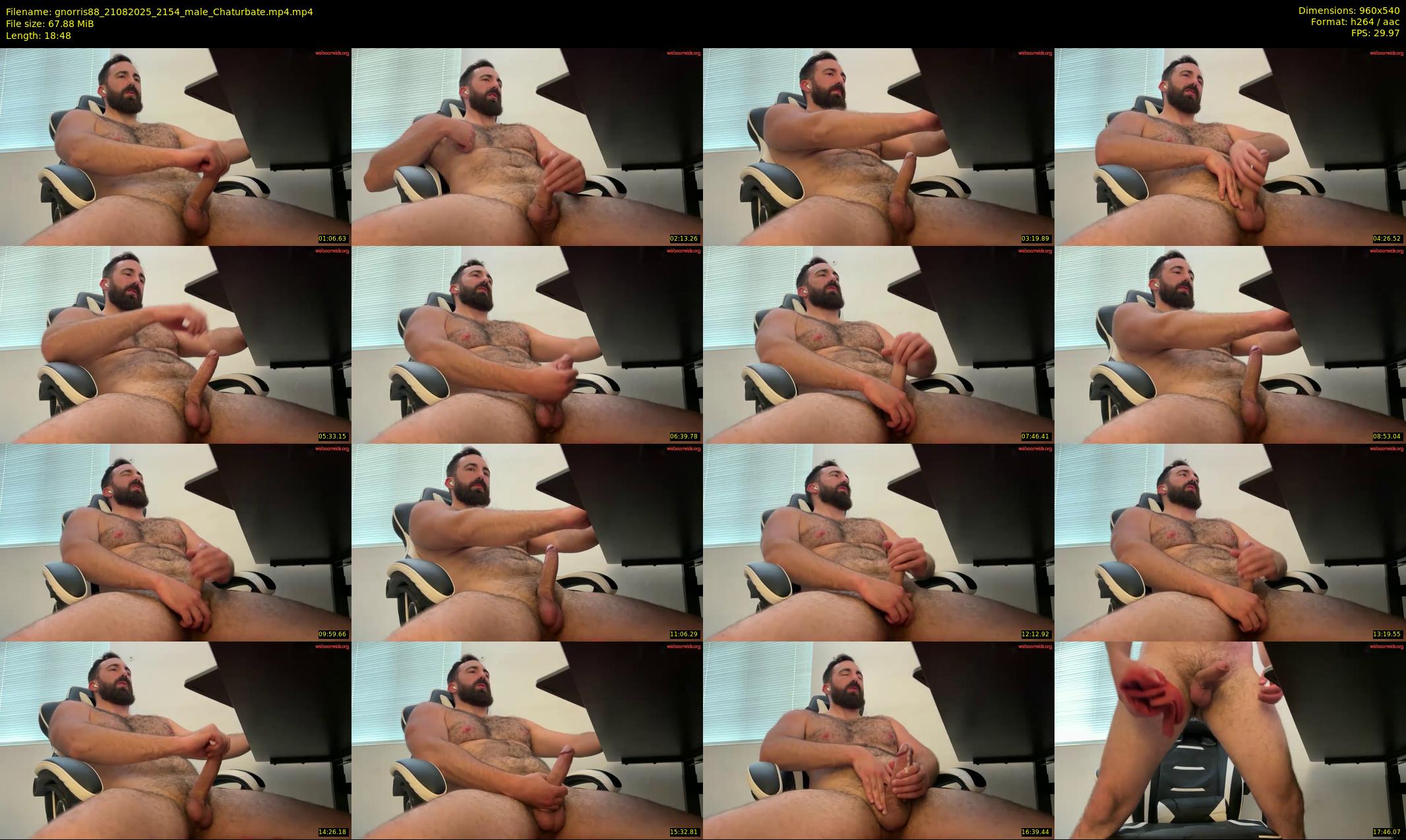 gnorris88 — 19 minute Chaturbate male cam show recording, 480p, Aug 21, 2025