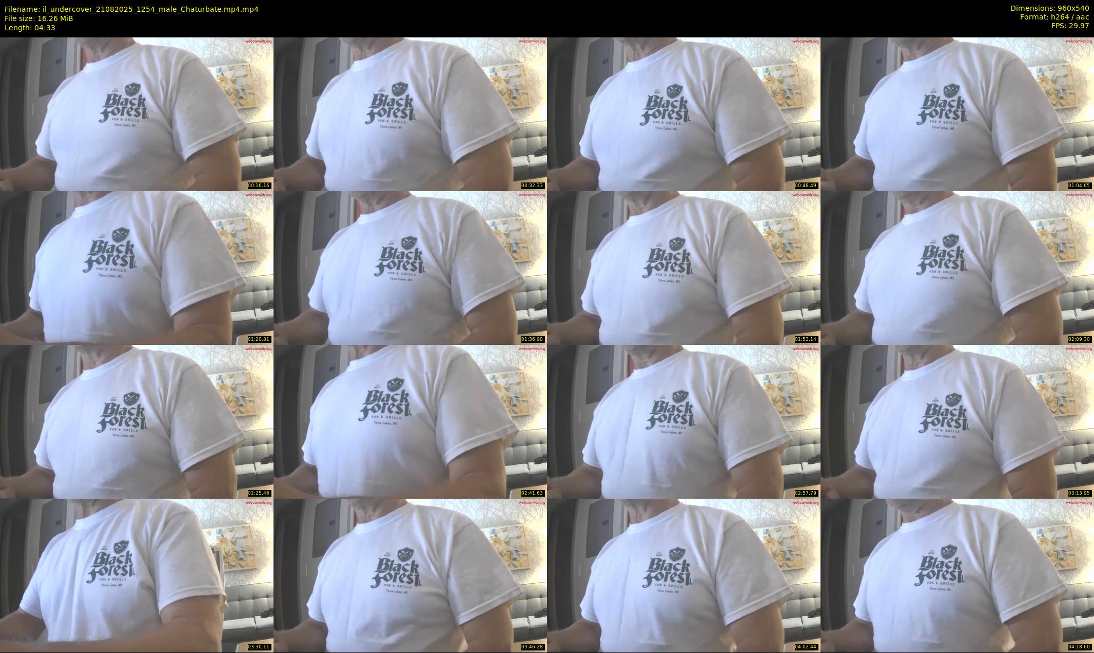 il_undercover — 5 minute Chaturbate male cam show recording, 480p, Aug 21, 2025