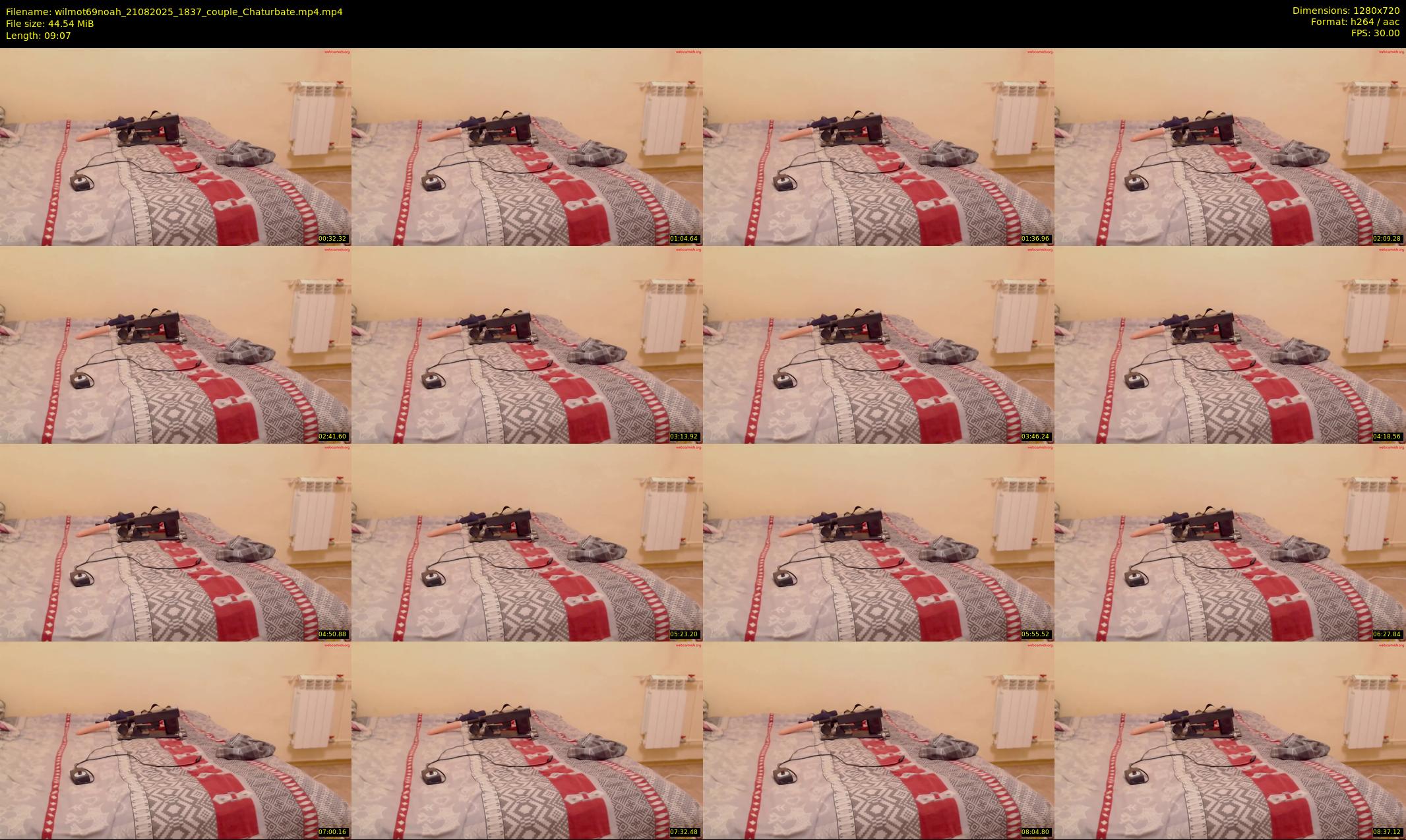 wilmot69noah — 10 minute Chaturbate couple cam show recording, 720p, Aug 21, 2025