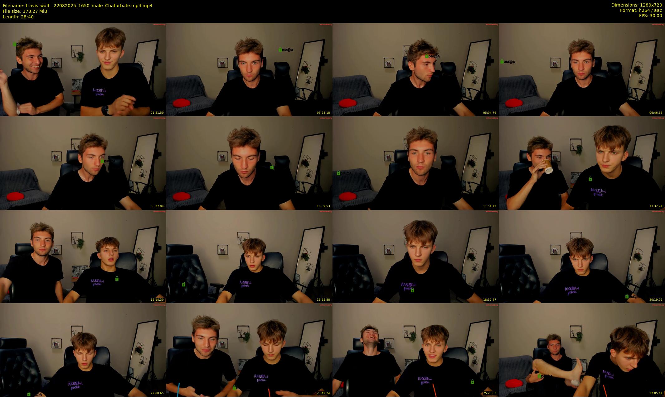 travis_wolf_ — 29 minute Chaturbate male cam show recording, 720p, Aug 22, 2025