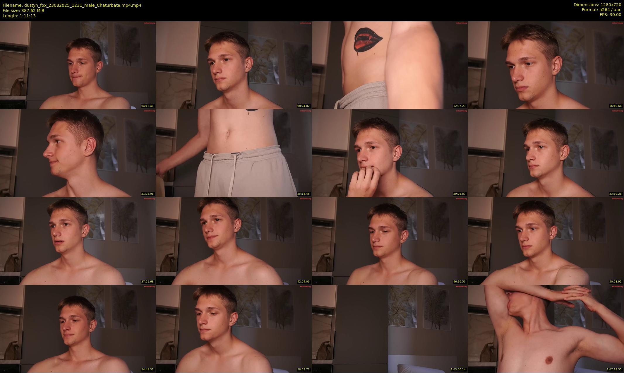 dustyn_fox — 72 minute Chaturbate male cam show recording, 720p, Aug 23, 2025