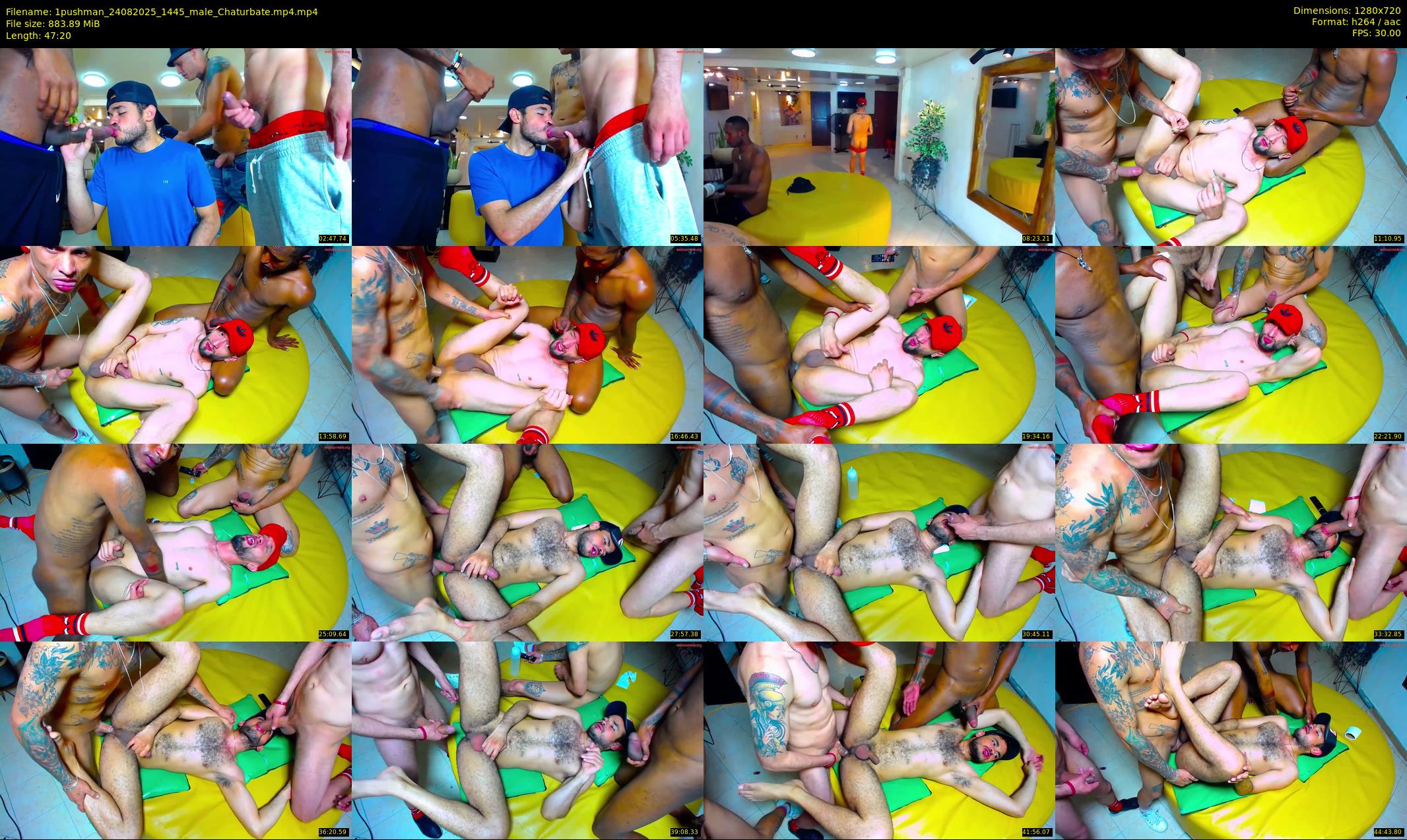1pushman — 48 minute Chaturbate male cam show recording, 720p, Aug 24, 2025