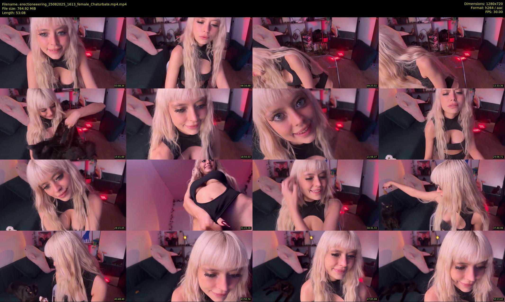 erectioneeering — 54 minute Chaturbate female cam show recording, 720p, Aug 25, 2025
