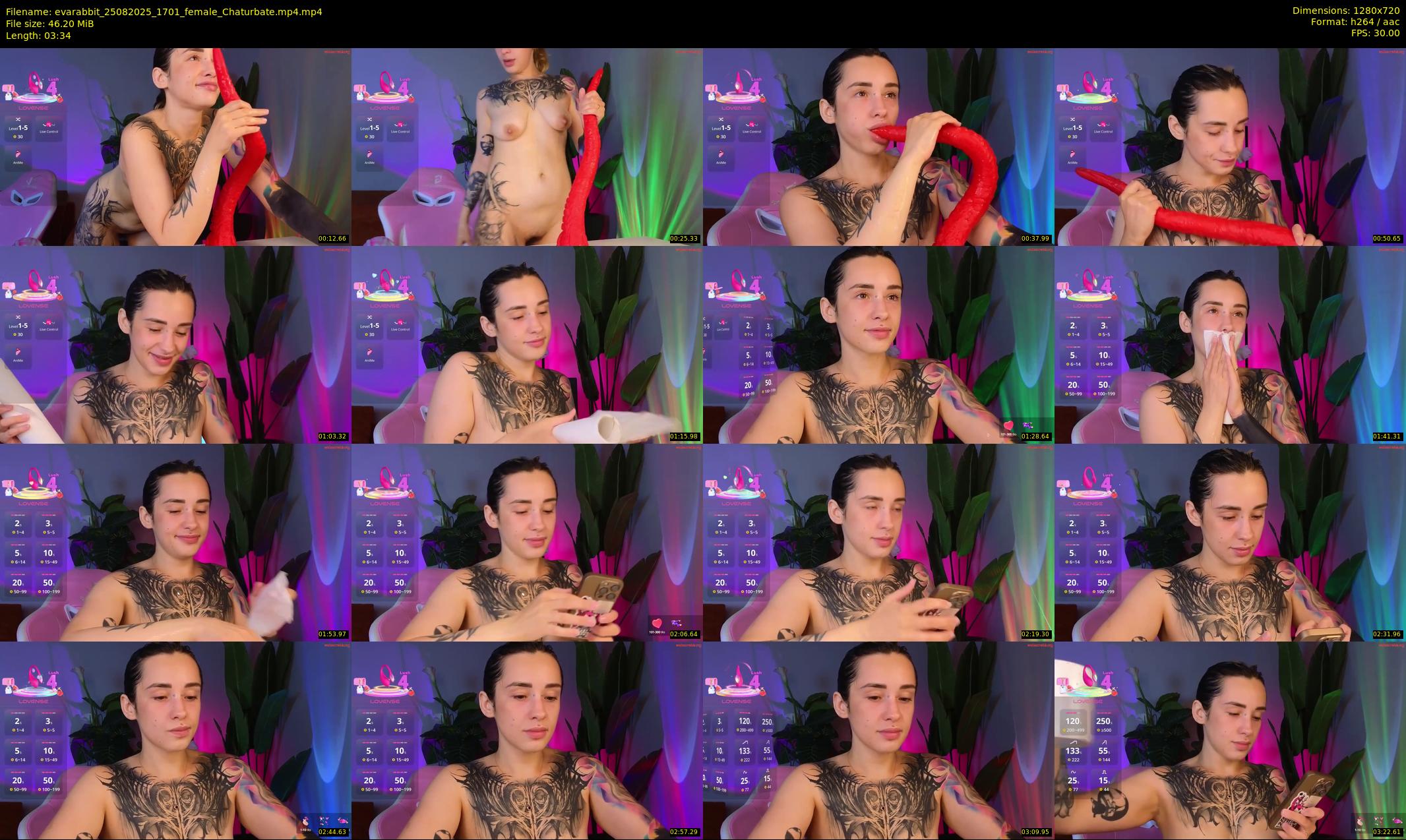 evarabbit — 4 minute Chaturbate female cam show recording, 720p, Aug 25, 2025