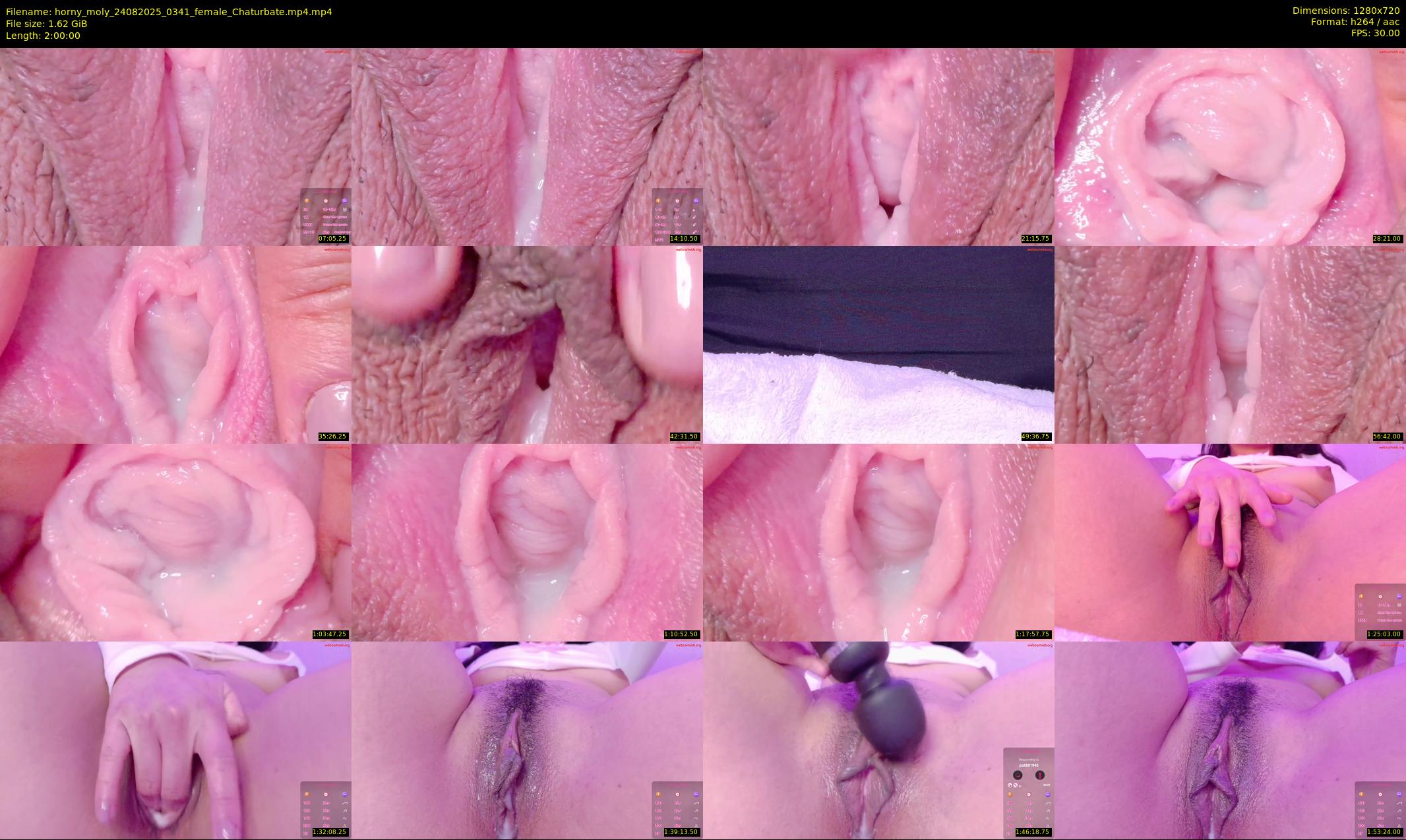 horny_moly — 120 minute Chaturbate female cam show recording, 720p, Aug 24, 2025