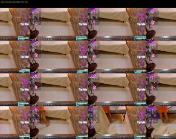 palmer_evans — 4 minute Chaturbate female cam show recording, 720p, Aug 24, 2025