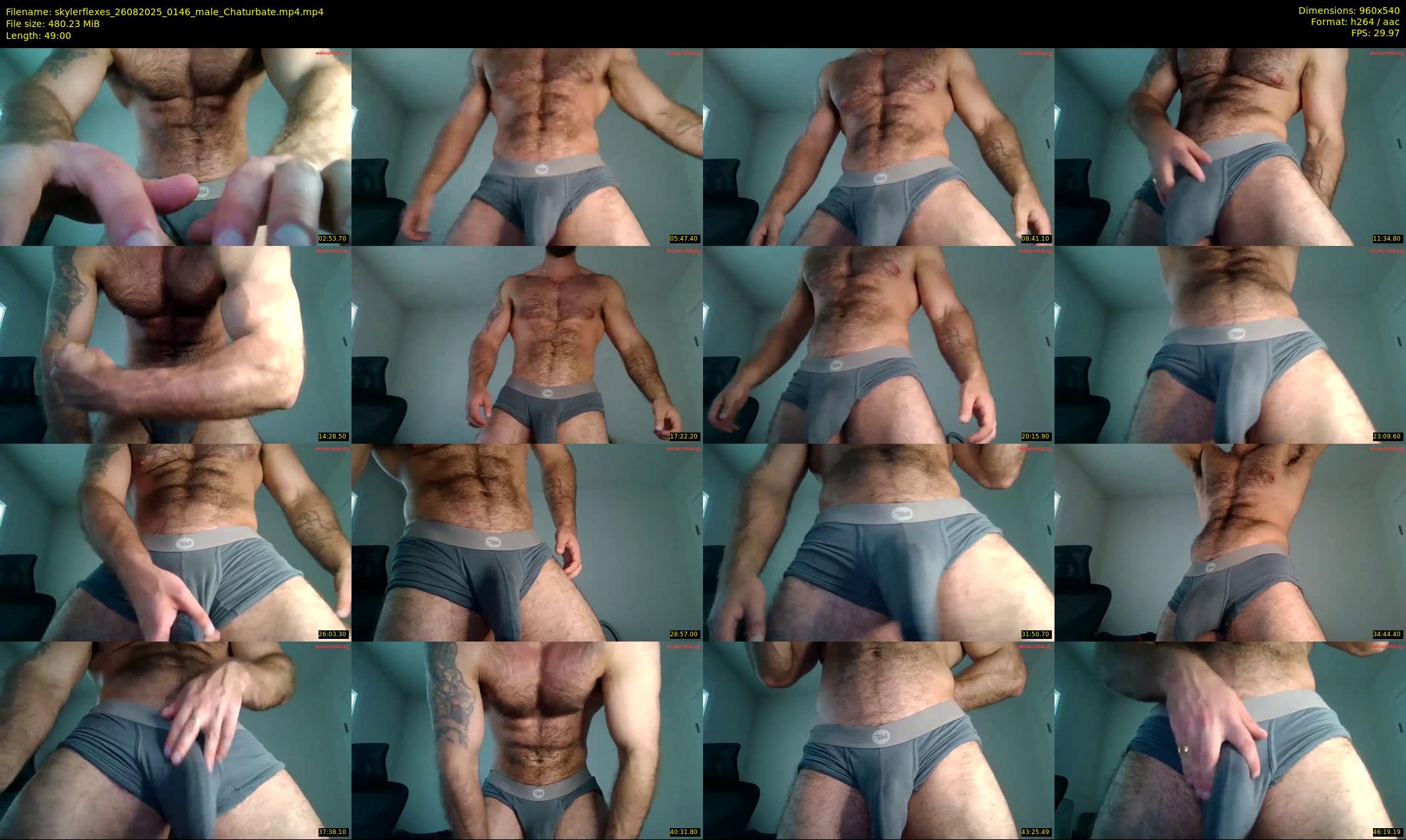 skylerflexes — 49 minute Chaturbate male cam show recording, 480p, Aug 26, 2025