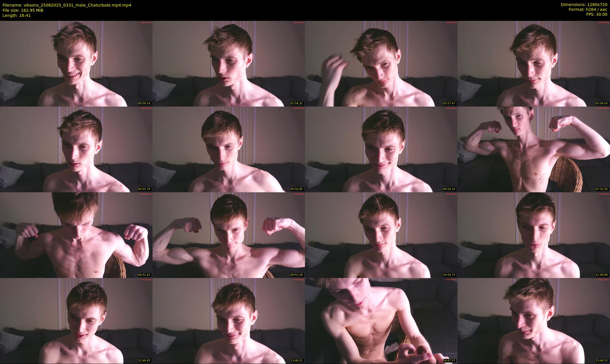 viksons — 17 minute Chaturbate male cam show recording, 720p, Aug 25, 2025