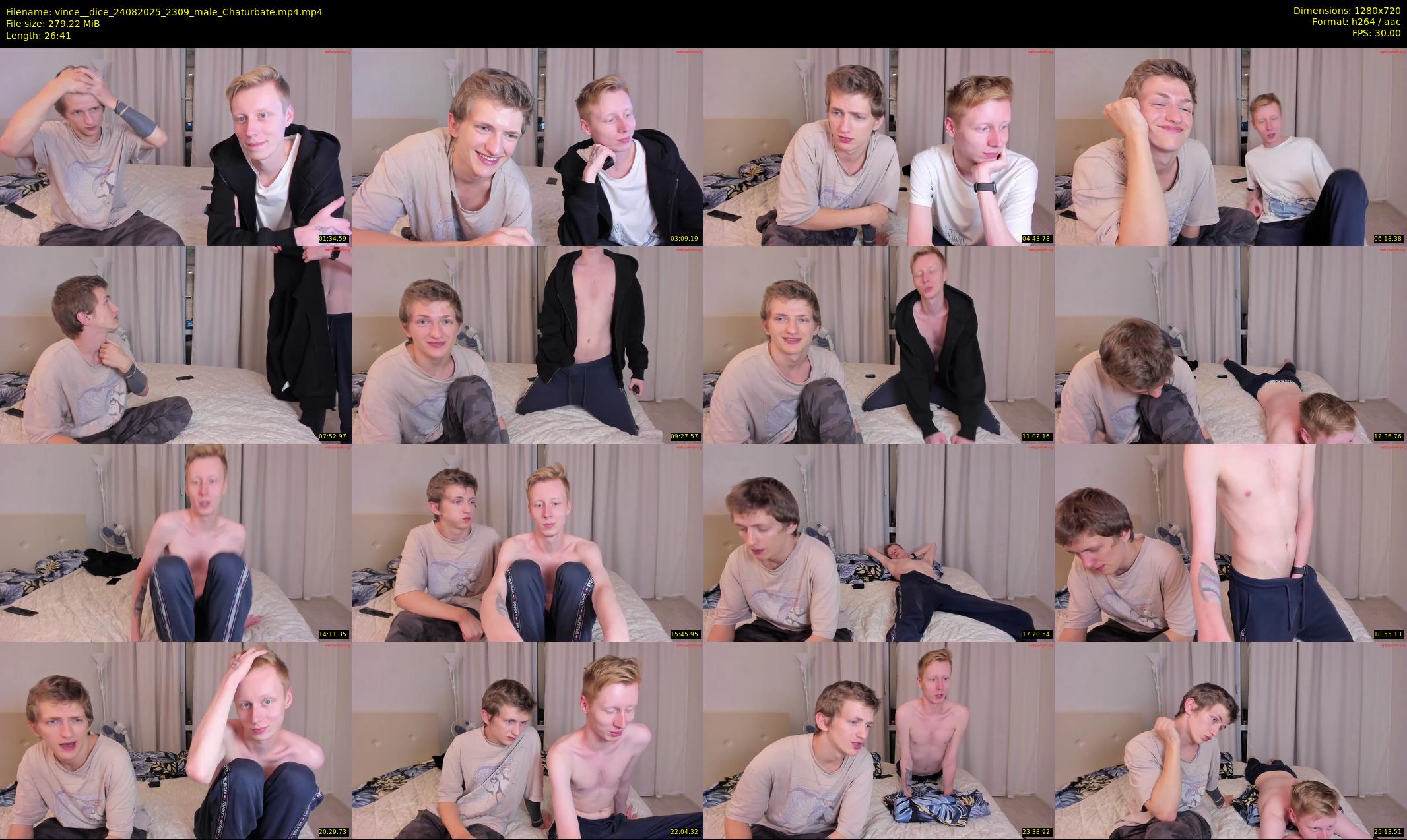 vince__dice — 27 minute Chaturbate male cam show recording, 720p, Aug 24, 2025