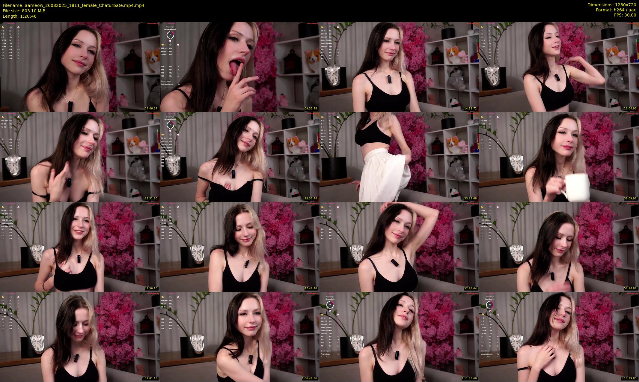 aameow — 81 minute Chaturbate female cam show recording, 720p, Aug 26, 2025