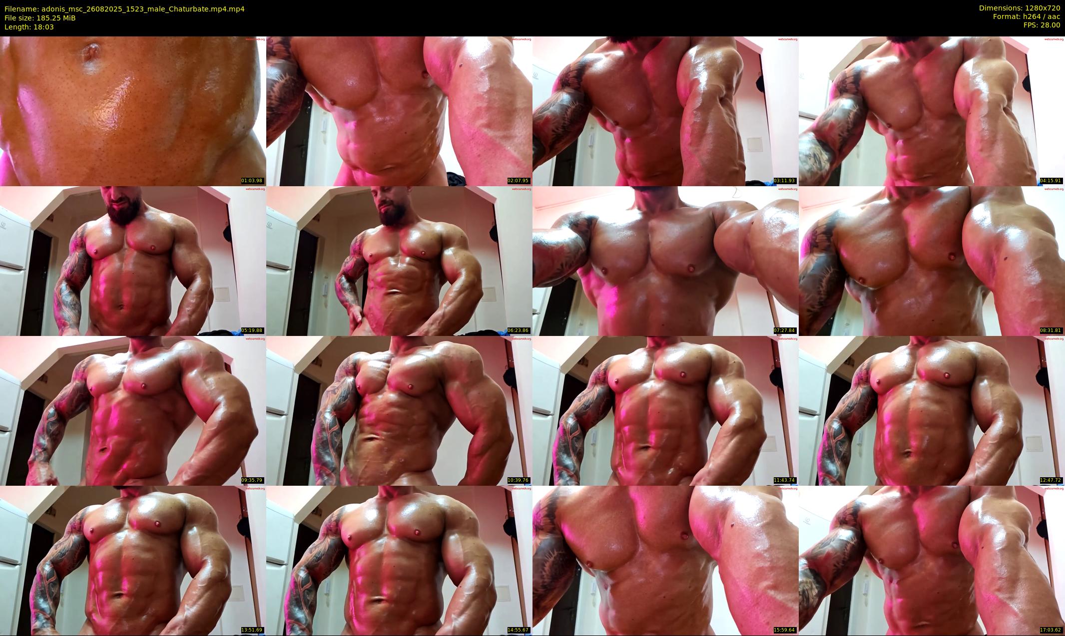 adonis_msc — 19 minute Chaturbate male cam show recording, 720p, Aug 26, 2025