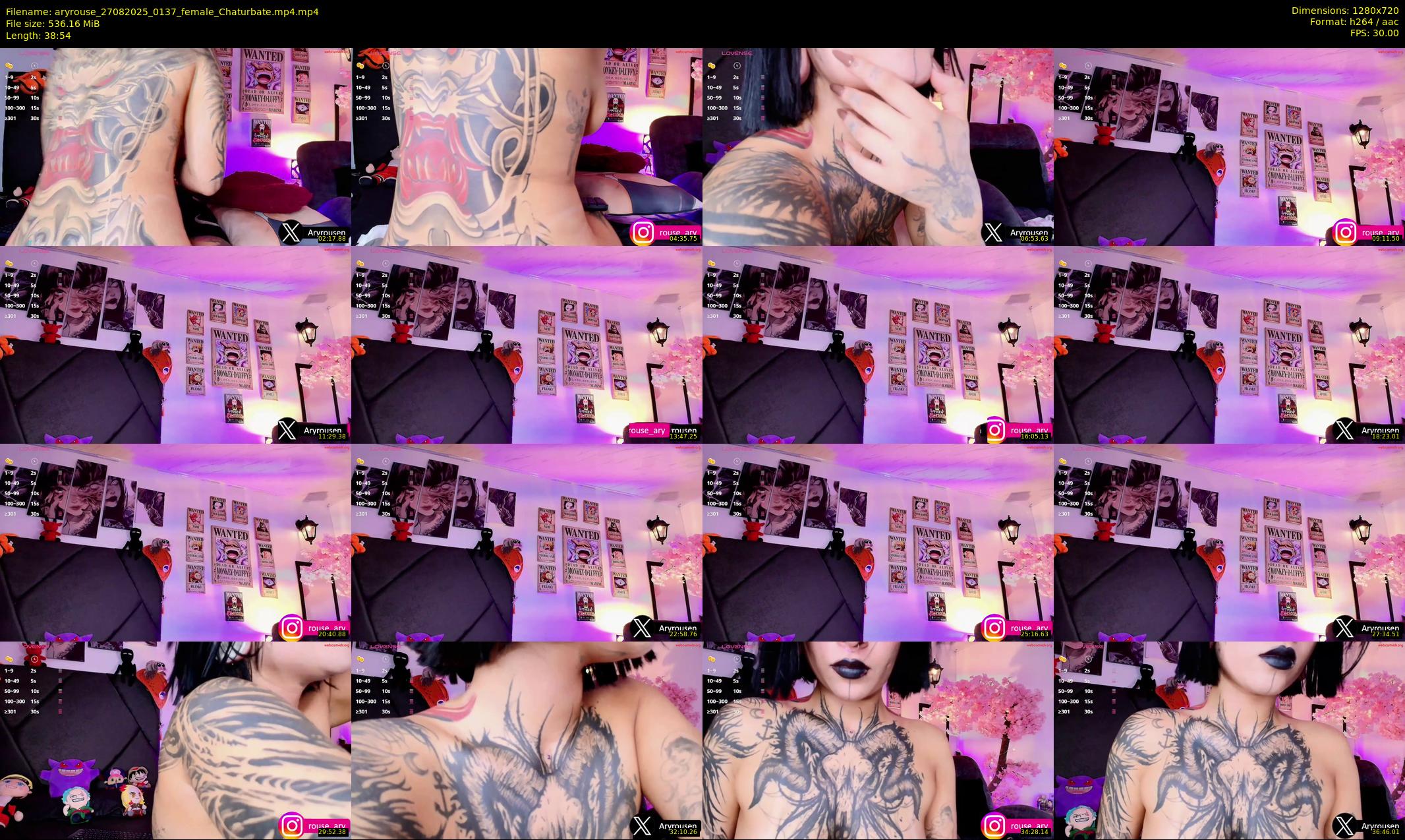 aryrouse — 39 minute Chaturbate female cam show recording, 720p, Aug 27, 2025