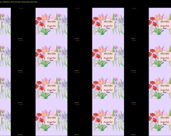 constantcumquest — 12 minute Chaturbate female cam show recording, 720p, Aug 27, 2025