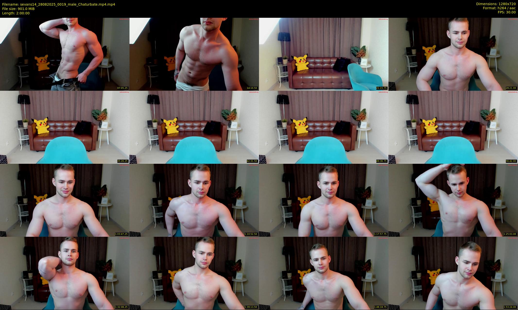 sevans14 — 120 minute Chaturbate male cam show recording, 720p, Aug 28, 2025