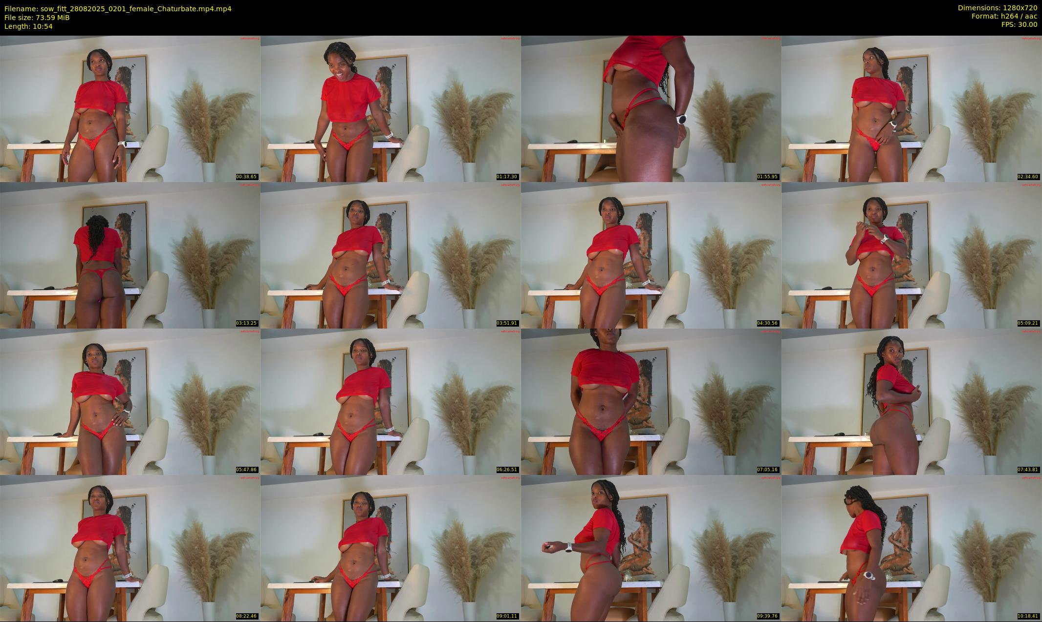 sow_fitt — 11 minute Chaturbate female cam show recording, 720p, Aug 28, 2025