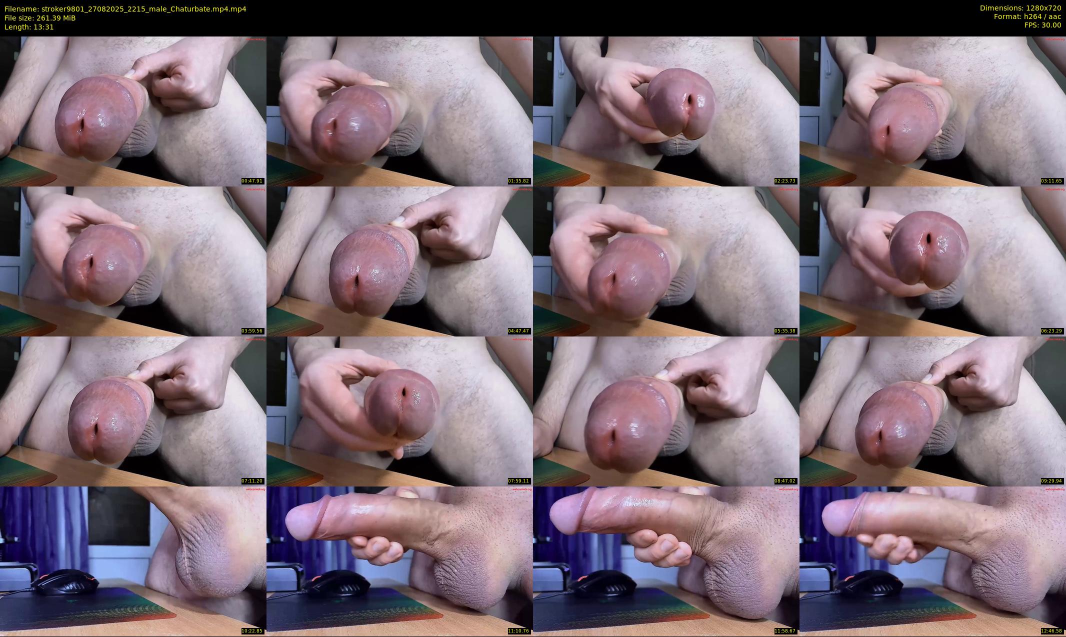 stroker9801 — 14 minute Chaturbate male cam show recording, 720p, Aug 27, 2025