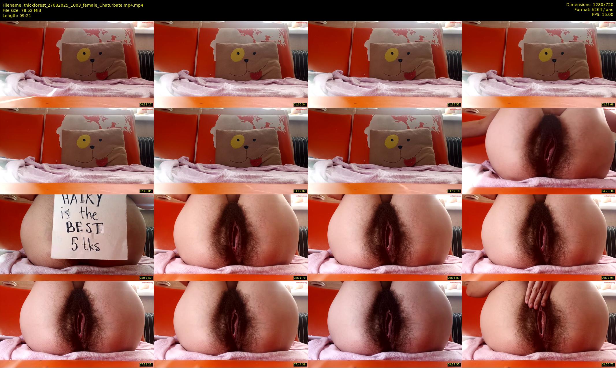 thickforest — 10 minute Chaturbate female cam show recording, 720p, Aug 27, 2025