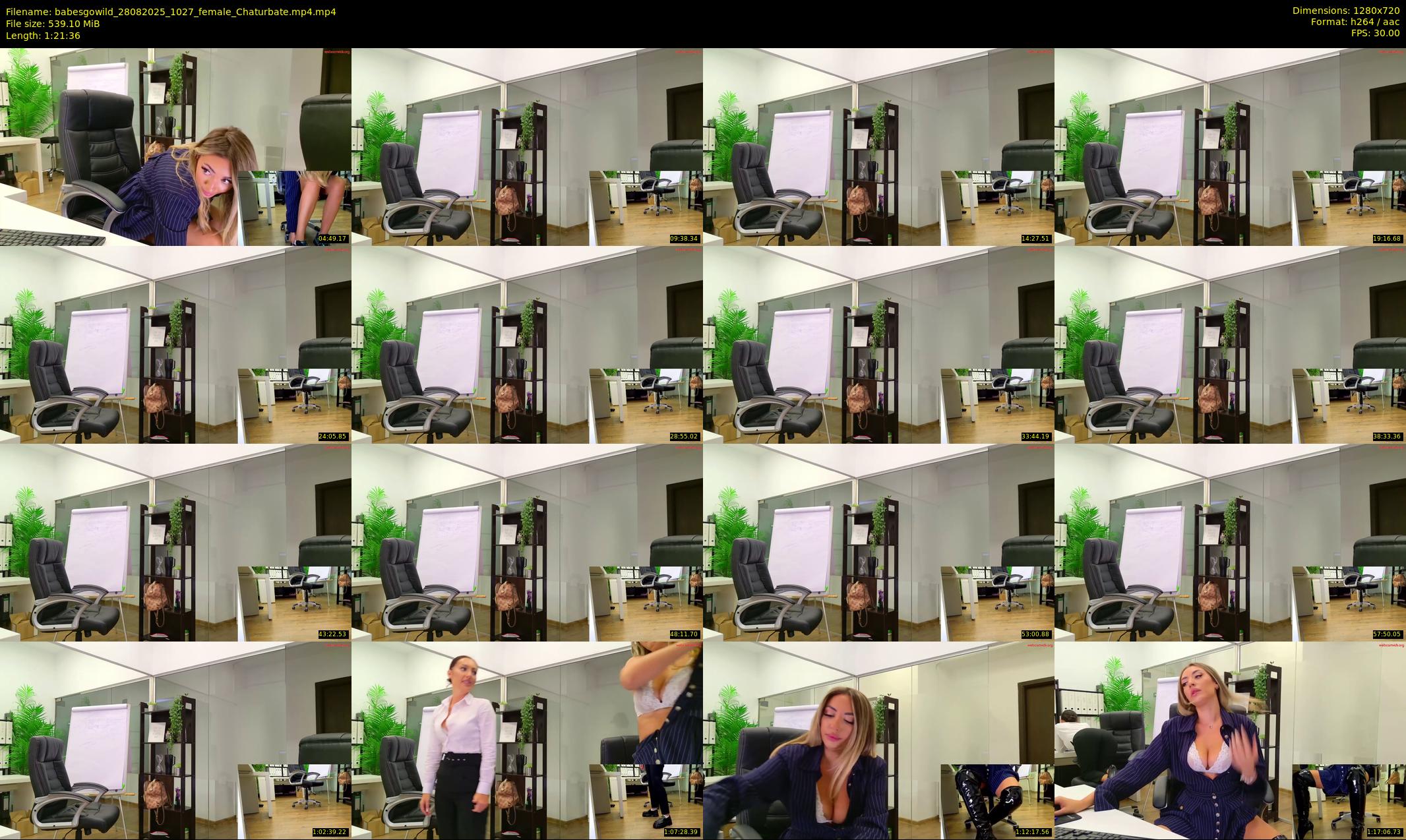 babesgowild — 82 minute Chaturbate couple cam show recording, 720p, Aug 28, 2025