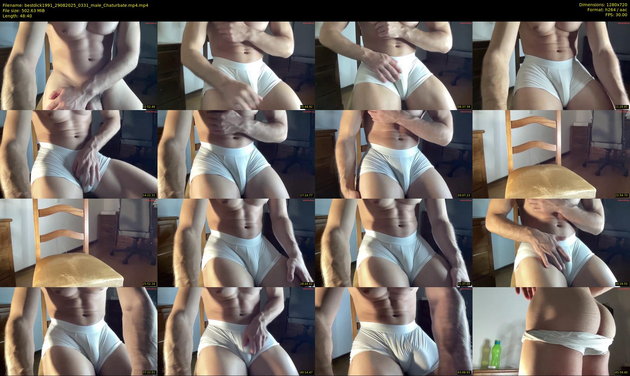 bestdick1991 — 49 minute Chaturbate male cam show recording, 720p, Aug 29, 2025