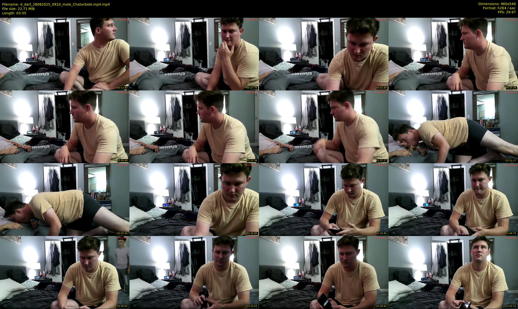 d_dart — 4 minute Chaturbate male cam show recording, 480p, Aug 28, 2025