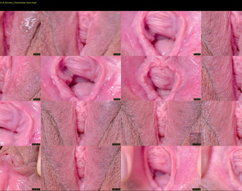 horny_moly — 120 minute Chaturbate female cam show recording, 720p, Aug 29, 2025
