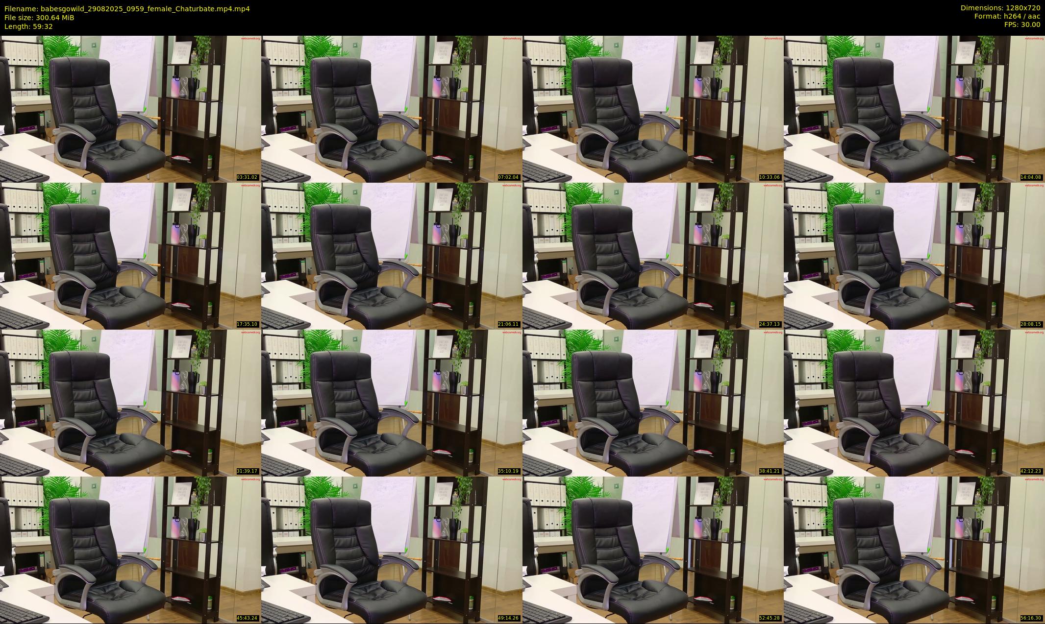 babesgowild — 60 minute Chaturbate couple cam show recording, 720p, Aug 29, 2025