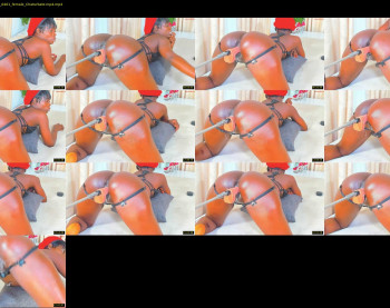dip_chocolate — 37 minute Chaturbate couple cam show recording, 720p, Aug 30, 2025