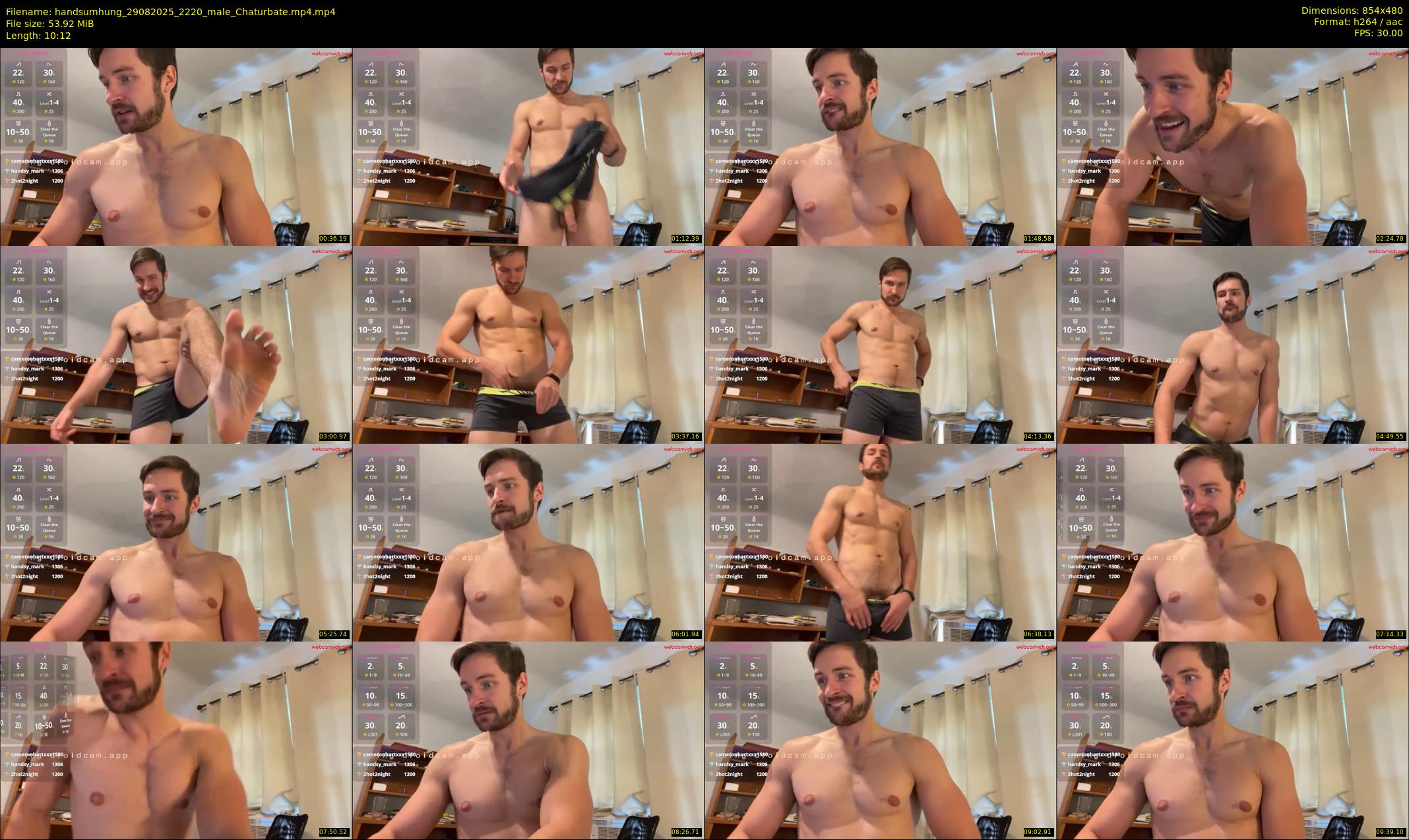 handsumhung — 11 minute Chaturbate male cam show recording, 480p, Aug 29, 2025