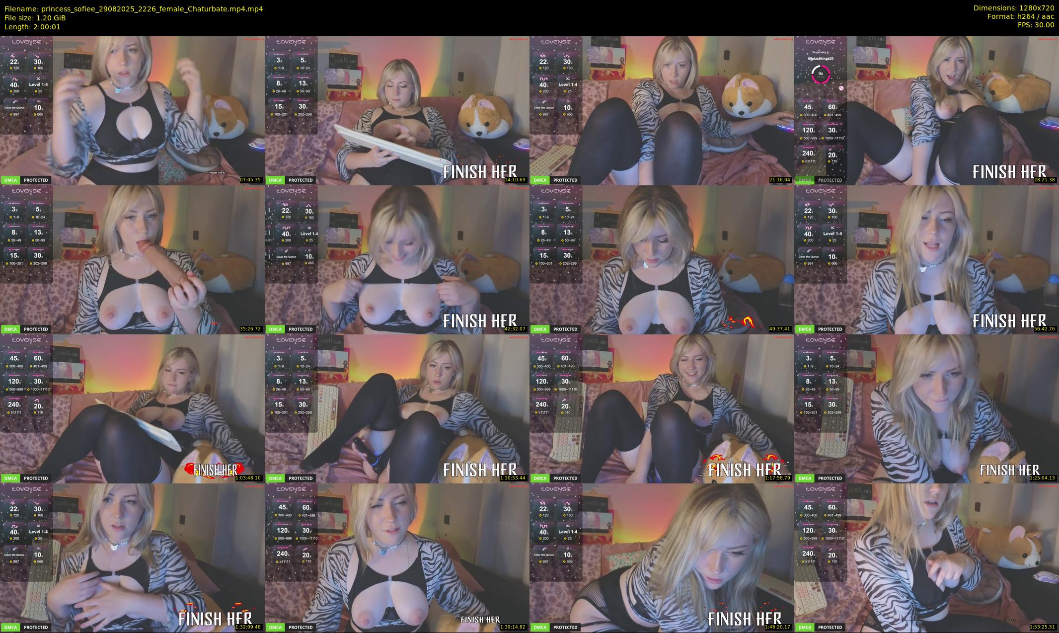 princess_sofiee — 121 minute Chaturbate female cam show recording, 720p, Aug 29, 2025