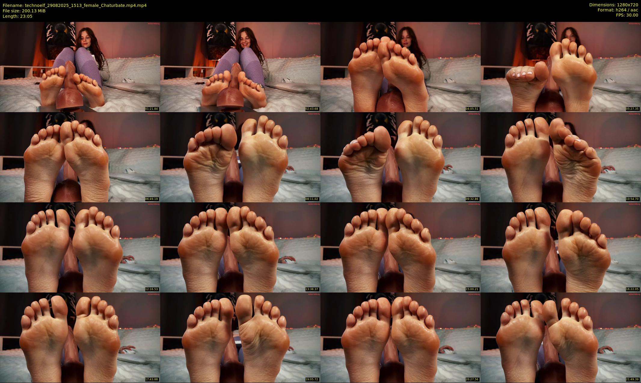 technoelf — 24 minute Chaturbate female cam show recording, 720p, Aug 29, 2025