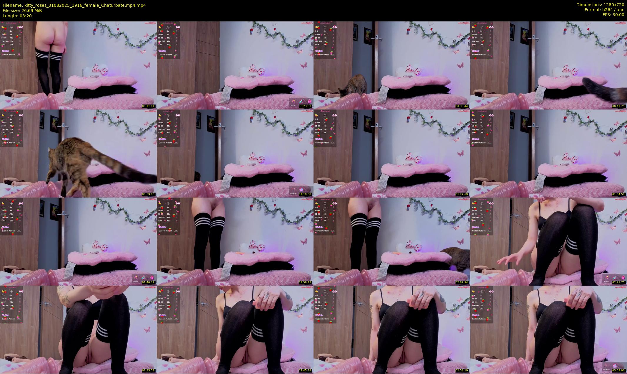 kitty_roses — 4 minute Chaturbate female cam show recording, 720p, Aug 31, 2025