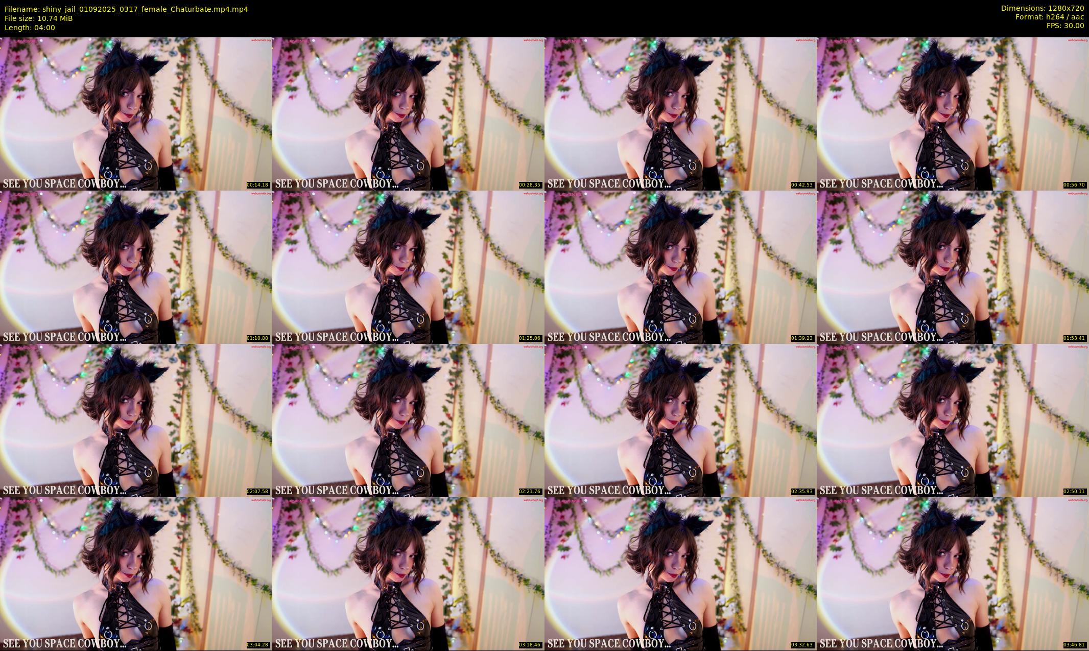 shiny_jail — 4 minute Chaturbate female cam show recording, 720p, Sep 1, 2025