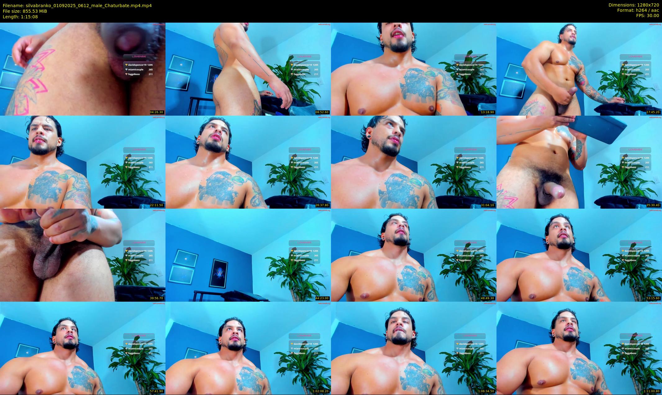 silvabranko — 76 minute Chaturbate male cam show recording, 720p, Sep 1, 2025