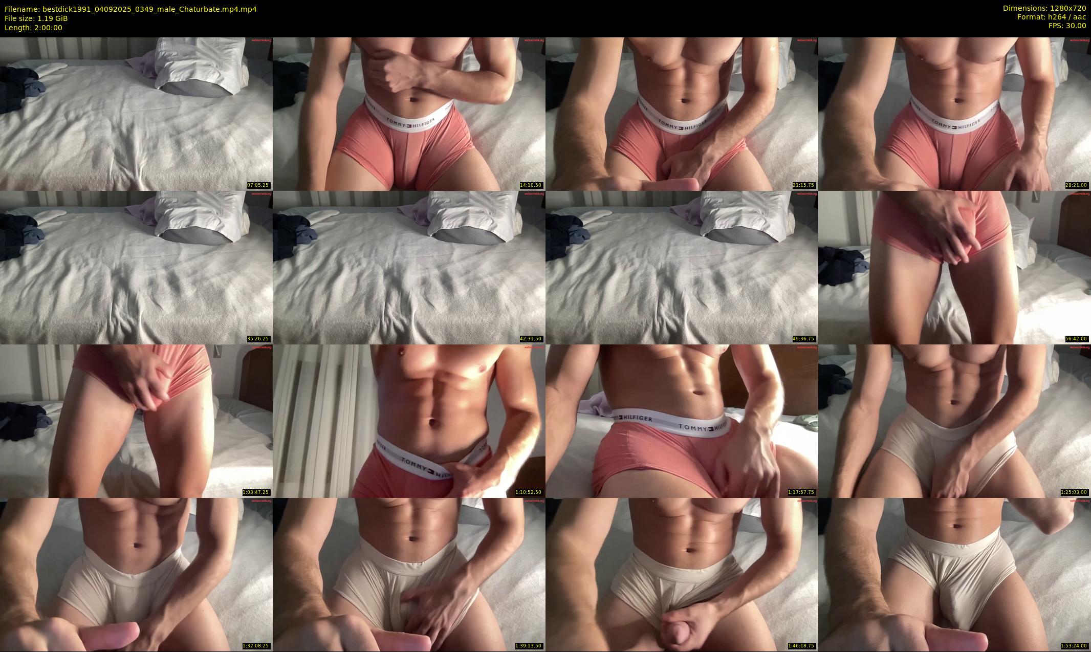 bestdick1991 — 120 minute Chaturbate male cam show recording, 720p, Sep 4, 2025
