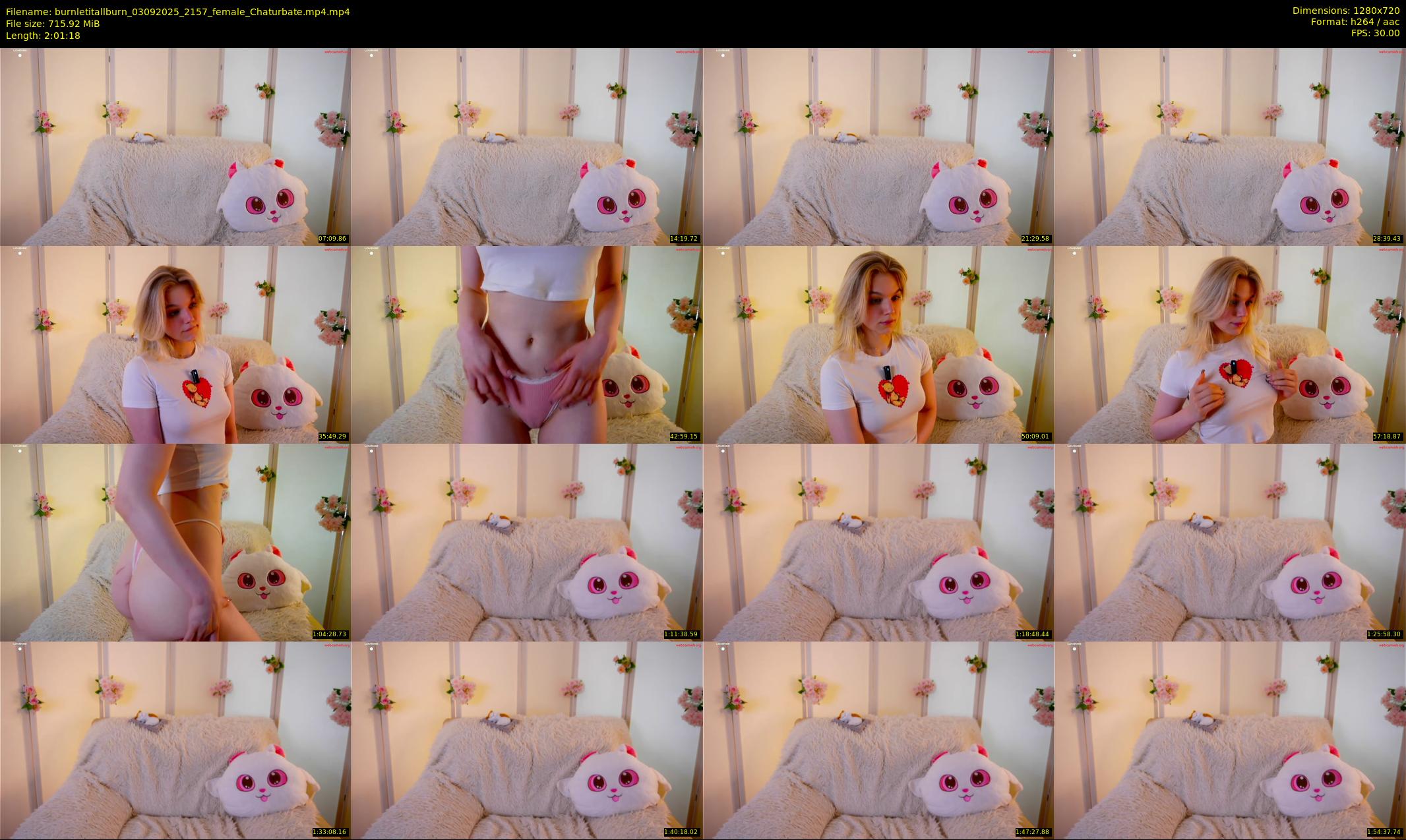 burnletitallburn — 122 minute Chaturbate female cam show recording, 720p, Sep 3, 2025