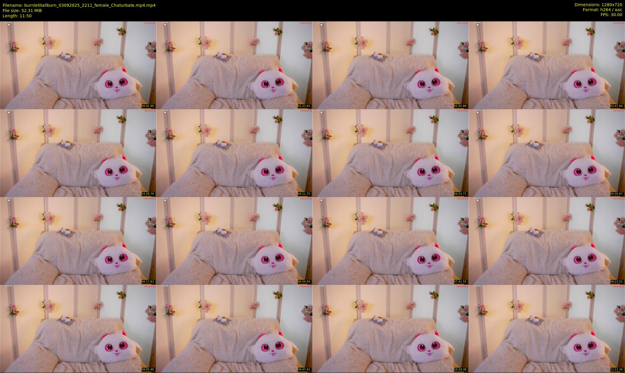 burnletitallburn — 12 minute Chaturbate female cam show recording, 720p, Sep 3, 2025