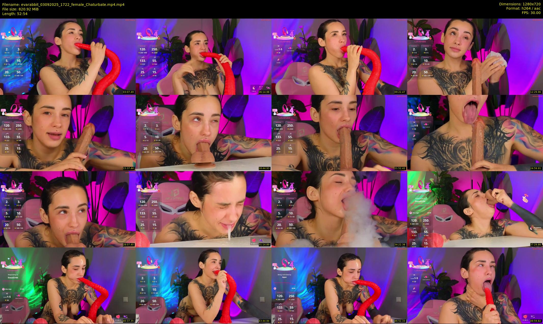 evarabbit — 53 minute Chaturbate female cam show recording, 720p, Sep 3, 2025