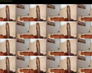 itsbellax — 12 minute Chaturbate female cam show recording, 720p, Sep 3, 2025