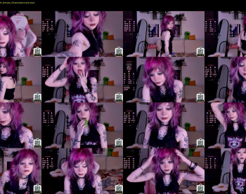 _lollyshy_ — 13 minute Chaturbate female cam show recording, 720p, Sep 4, 2025