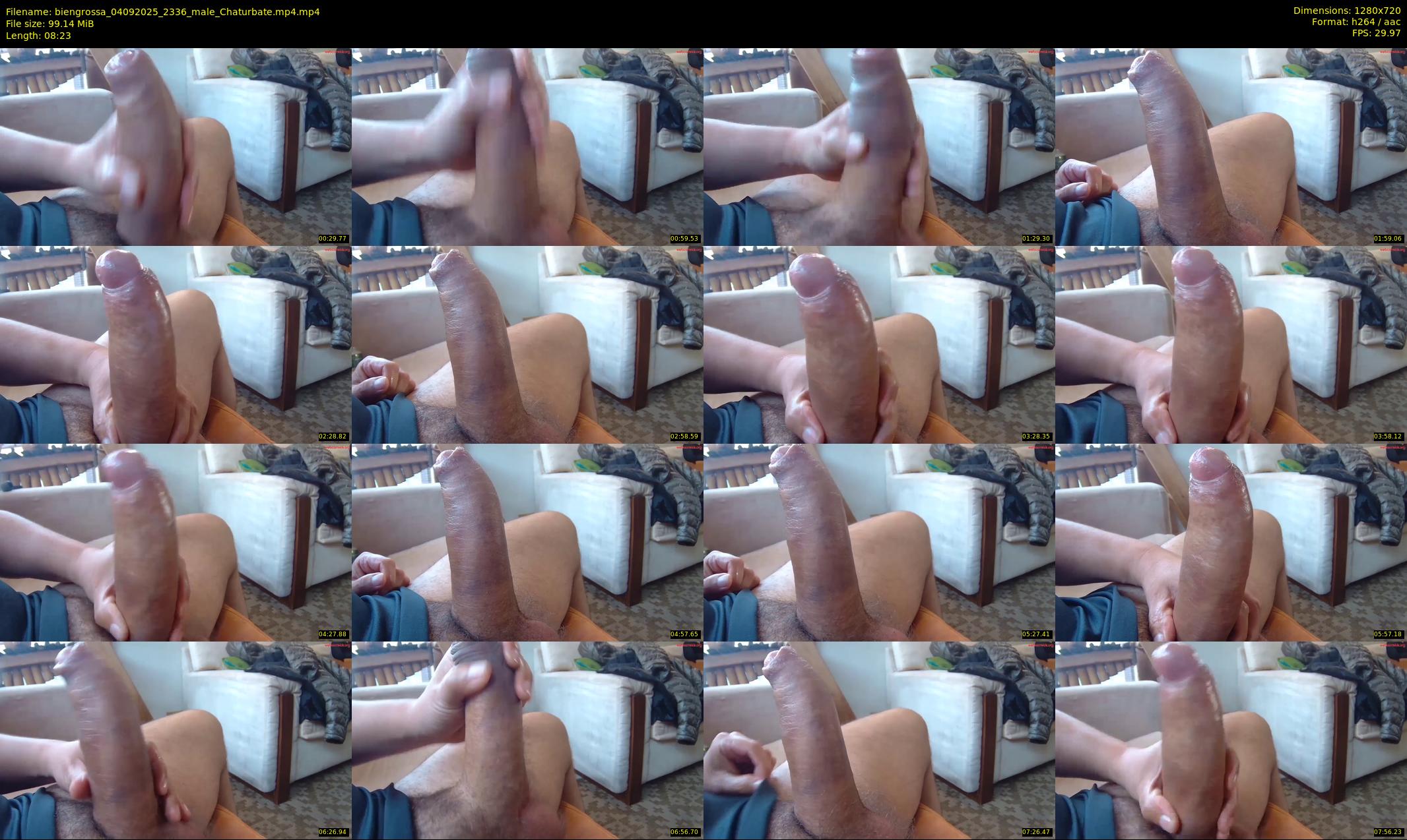biengrossa — 9 minute Chaturbate male cam show recording, 720p, Sep 4, 2025