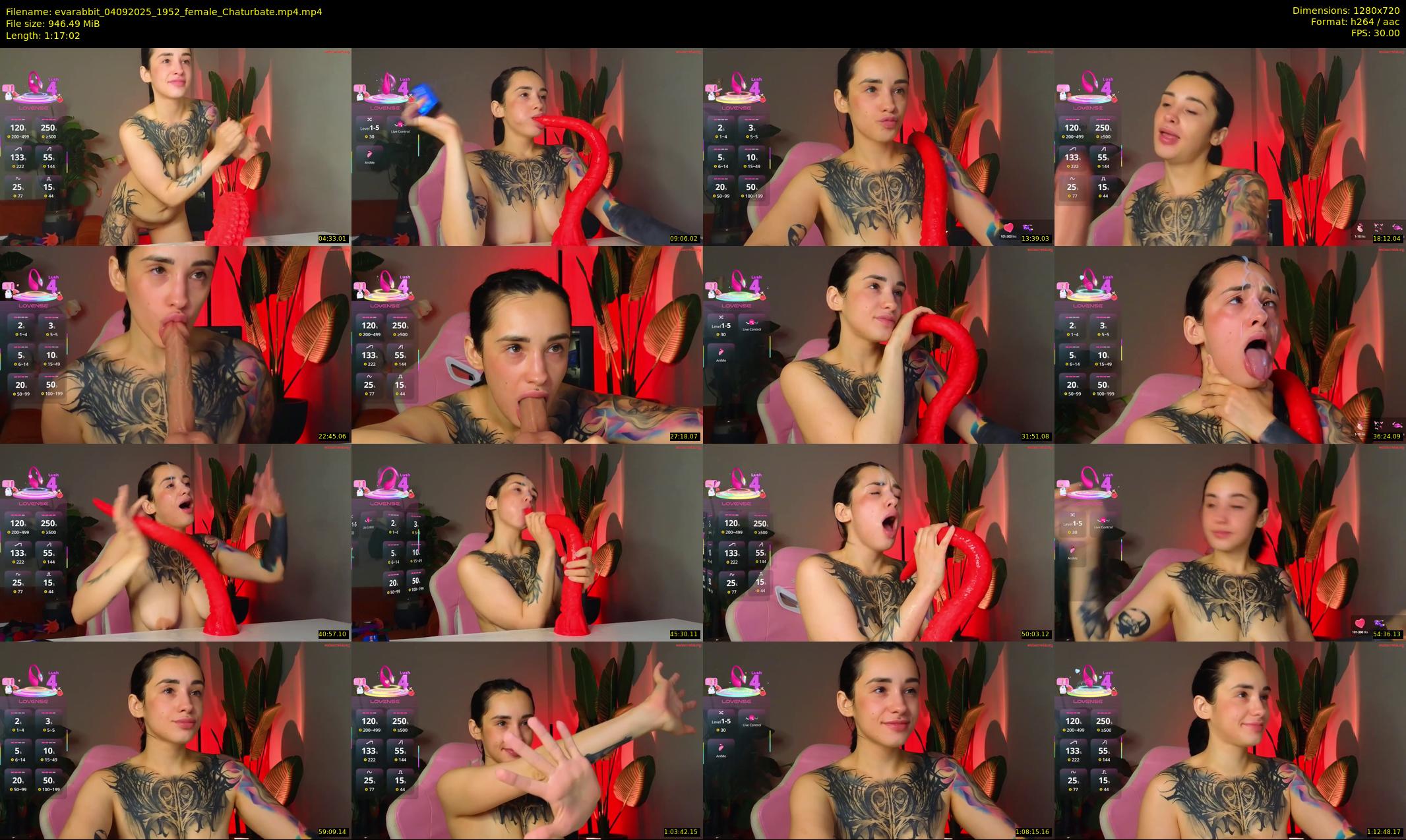 evarabbit — 78 minute Chaturbate female cam show recording, 720p, Sep 4, 2025