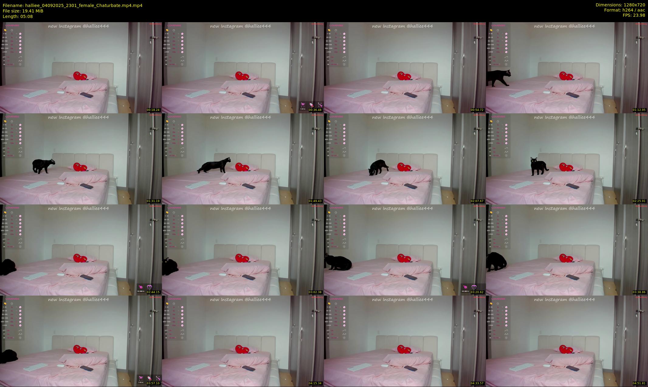 halliee — 6 minute Chaturbate couple cam show recording, 720p, Sep 4, 2025