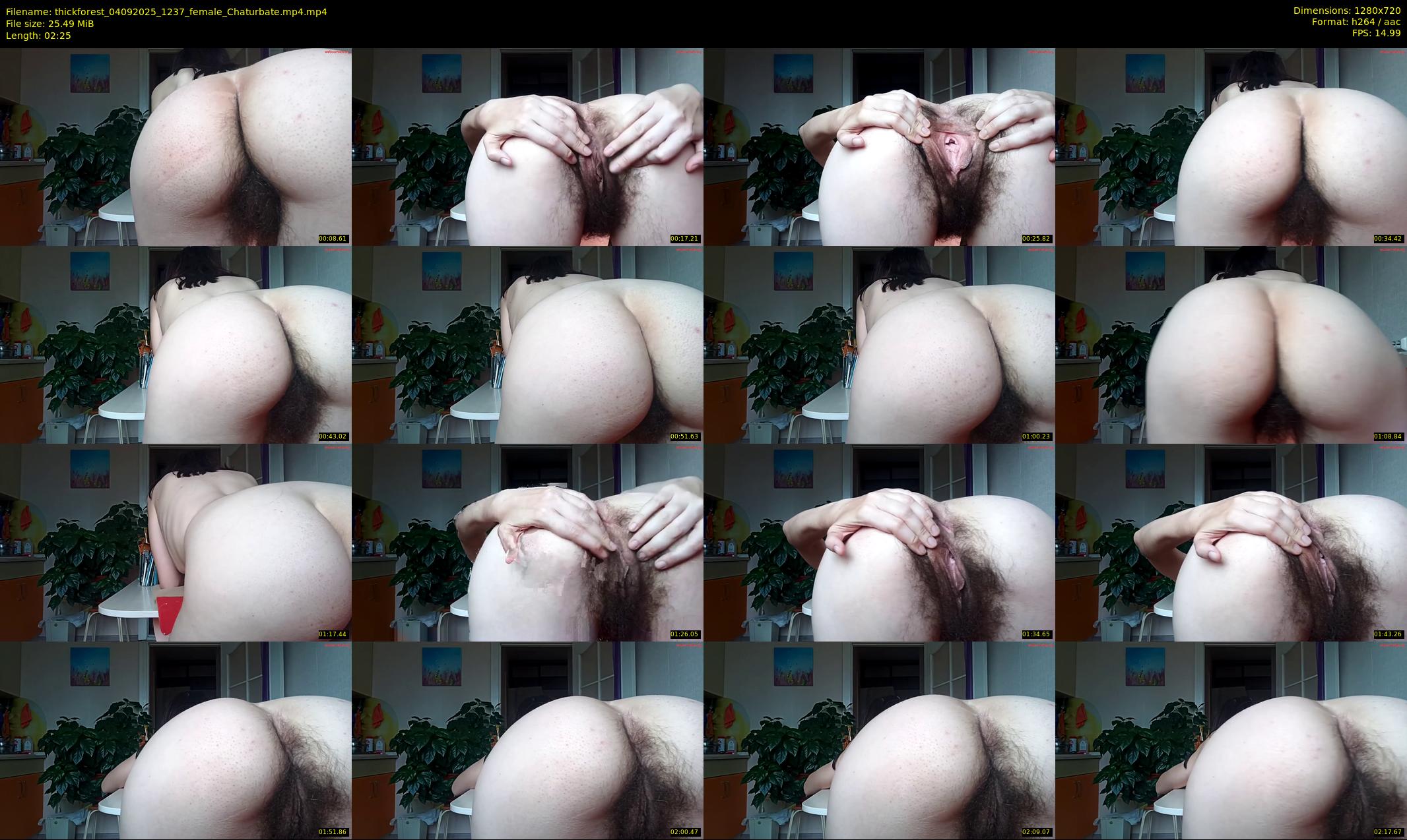 thickforest — 3 minute Chaturbate female cam show recording, 720p, Sep 4, 2025