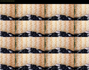 lizbethconnett — 5 minute Chaturbate female cam show recording, 720p, Sep 5, 2025