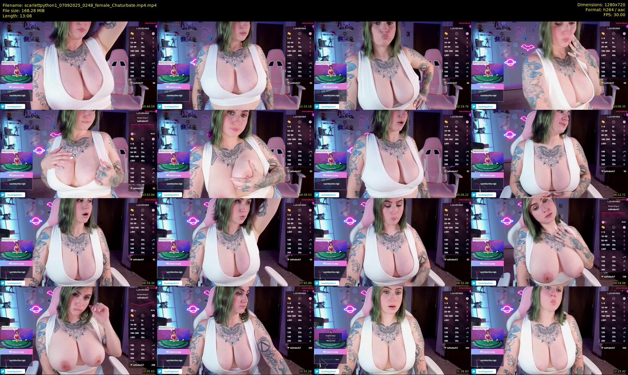 scarlettpython1 — 14 minute Chaturbate female cam show recording, 720p, Sep 7, 2025