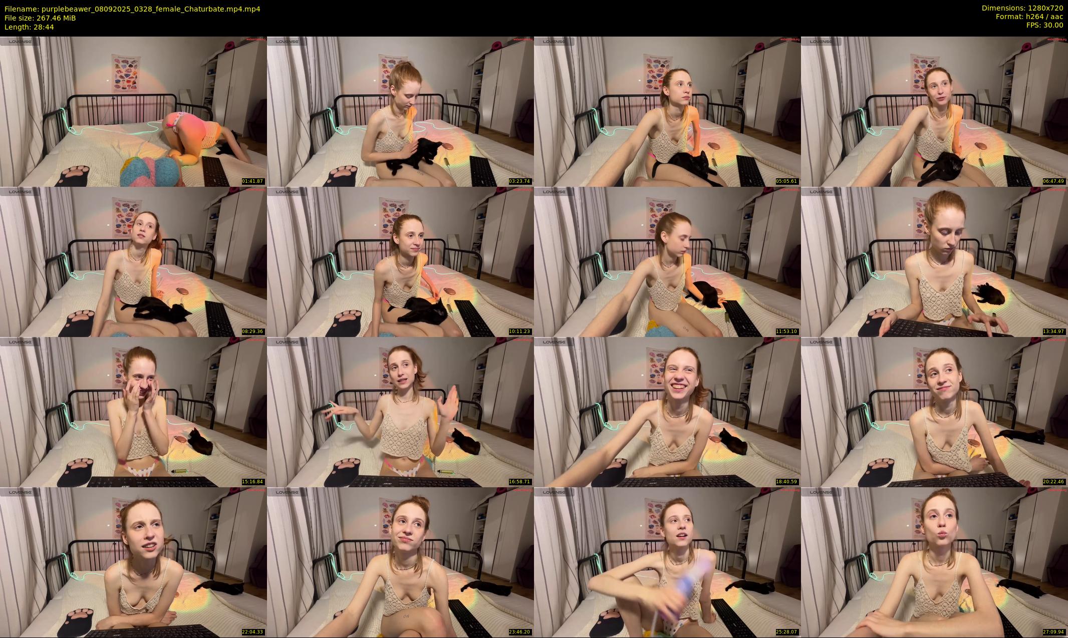 purplebeawer — 29 minute Chaturbate female cam show recording, 720p, Sep 8, 2025
