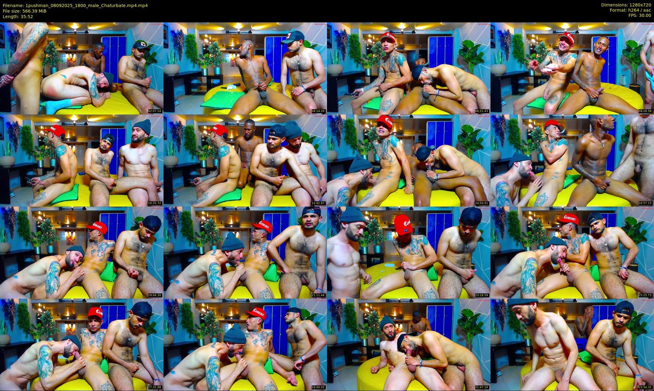 1pushman — 36 minute Chaturbate male cam show recording, 720p, Sep 8, 2025